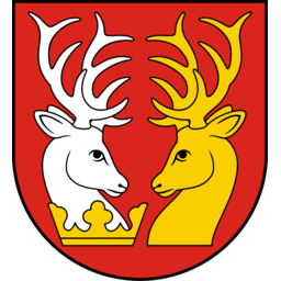 Herb parczewski